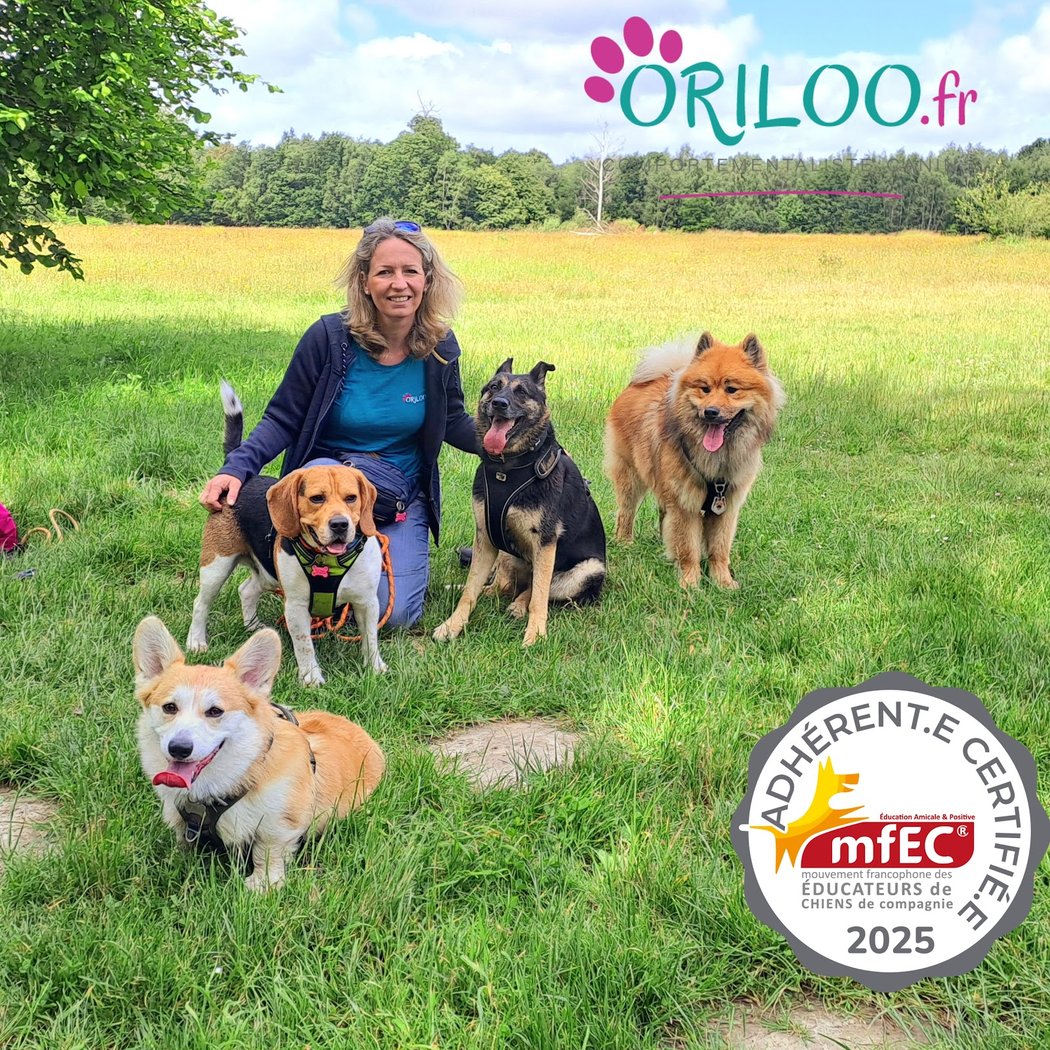 ORILOO 1